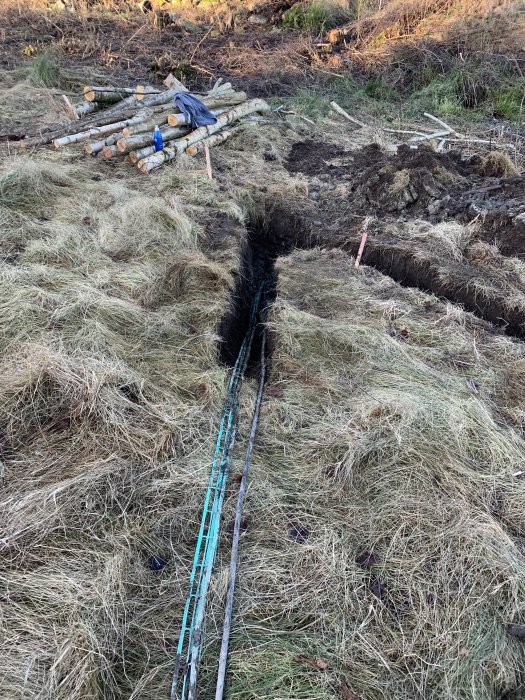 Handgrävd grävning i gräsmark som avslöjar fiberkabel, med nedfallna grenar vid sidan.