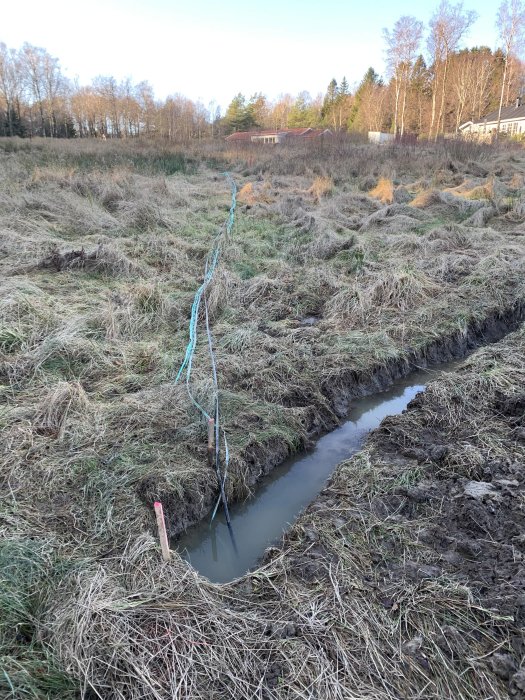 Grävd fiberkabelgröp i gräsmark med nedgrävd fiberkabel synlig, omgivet av träd och klar himmel.