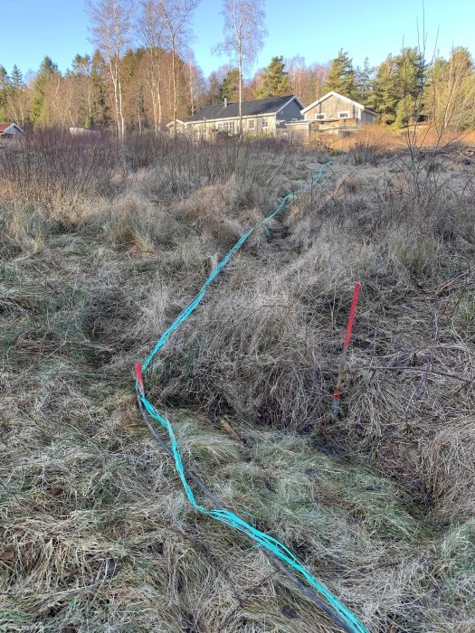 En grävd linje i marken med en framgrävd fiberkabel och omgivande öppen terräng mot hus i bakgrunden.