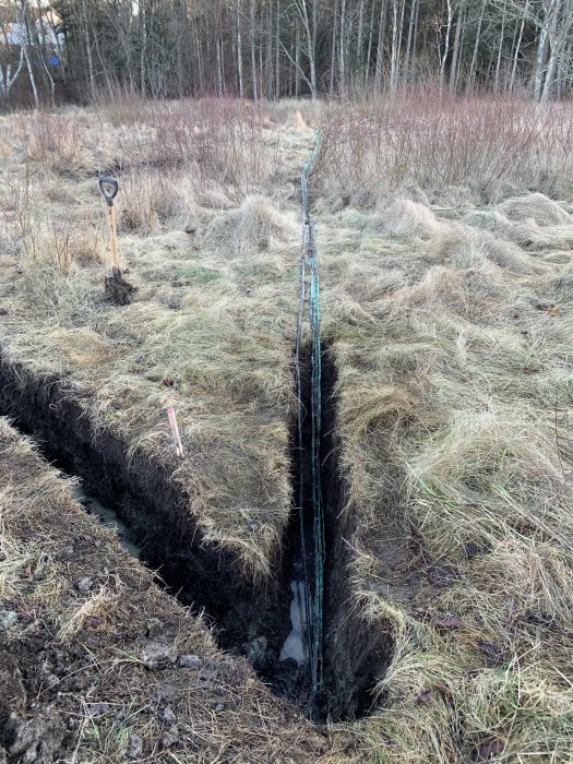 Lång grävd djup ränna i marken för att omlokalisera fiberkabel, omgiven av gräs och rötter, med en spade i bakgrunden.