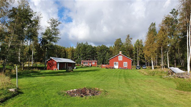 Vy över gräsmatta mot röd stuga och gästhus med skog i bakgrunden.