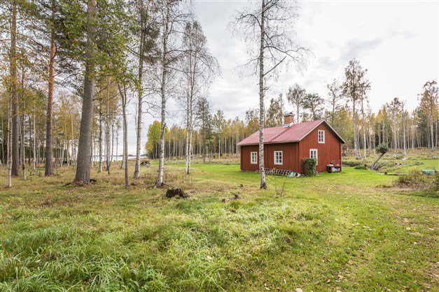 Ett rött torp med vita knutar omgivet av björkar, med en öppen gräsyta framför och en utsikt mot havet i bakgrunden.