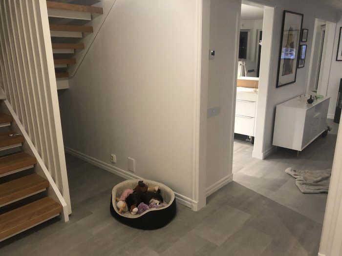 Renoverat hem med trätrappa, grått golv och vit inredning, hundbädd med leksaker i en hörna.