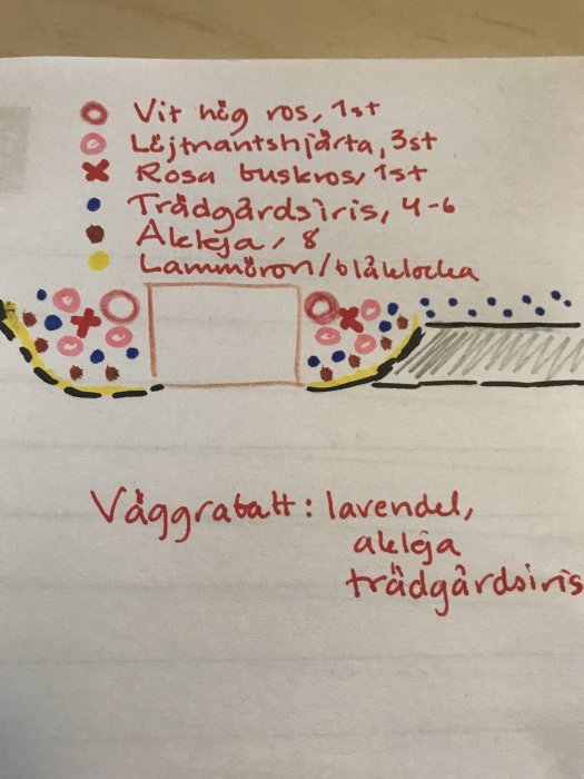 Handritad skiss av en blomrabattplanering med symboler för olika växter och text som beskriver arterna.