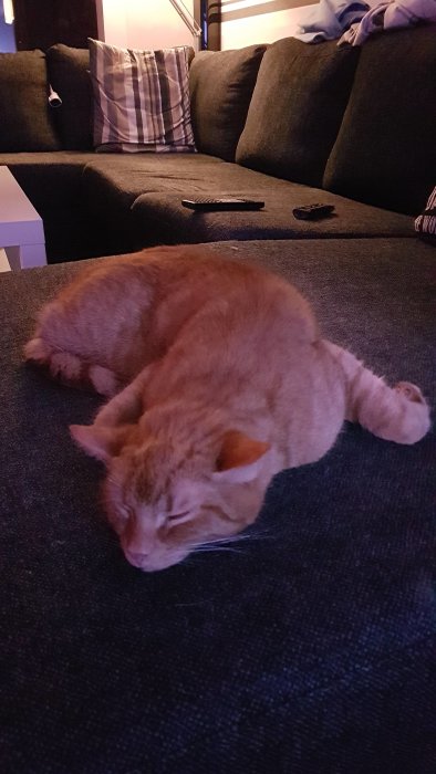 En avslappnad orange katt sover utsträckt på en mörk soffa.