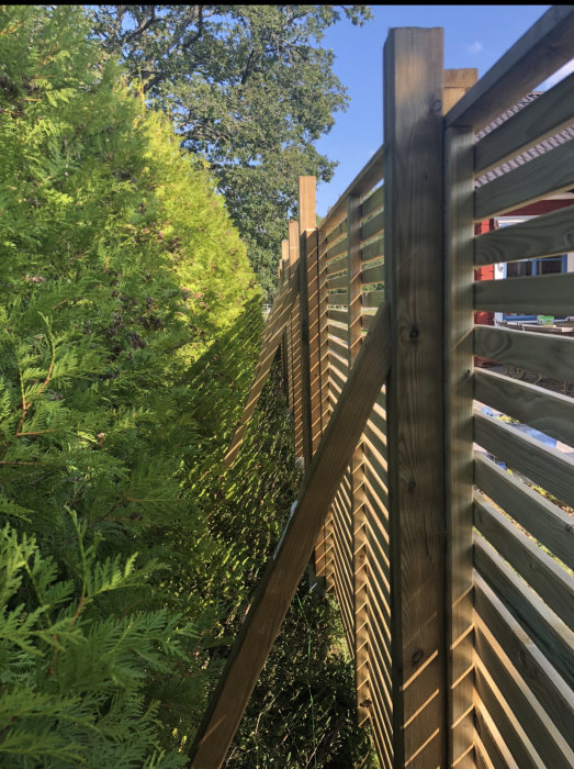 Trädgårdsstaket med stöttor på grönskande mark under en solig himmel.