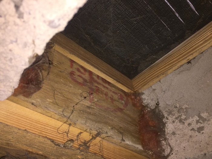 Bild på en träsyll i ett hus med röd märkning, omgiven av isoleringsmaterial och betong, potentialet tryckimpregnerat från 1970-talet.