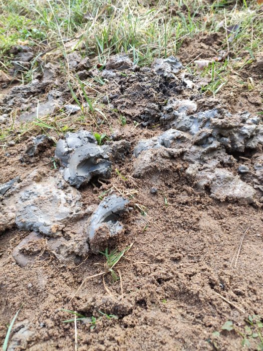 Grå lera och bruna jordklumpar på marken med gräs, vid borrningsprojekt.