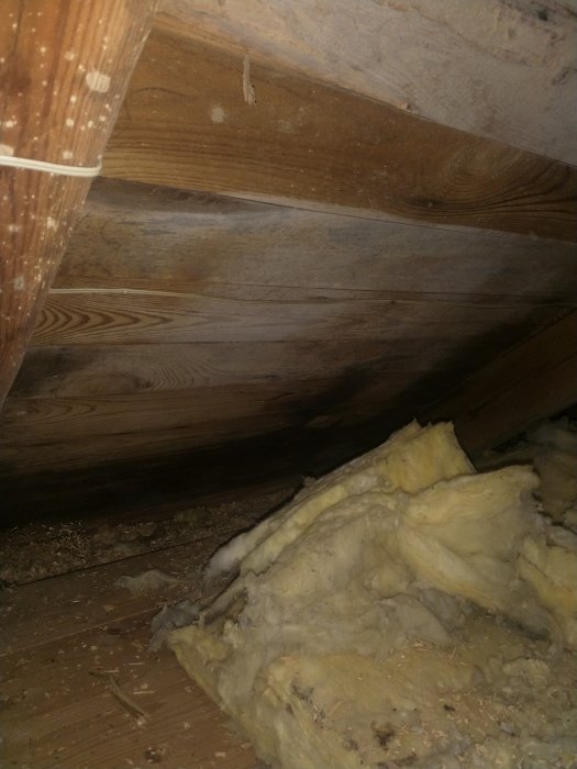 Vind med sparrar och fuktiga träytor. Delar av gammal gul isolering och byggspån syns på golvet.