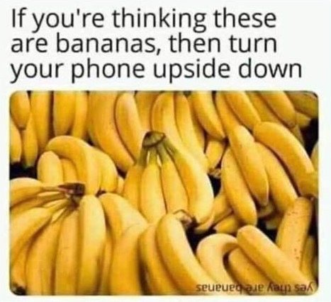 En samling mogna bananer med en övre text som manar betraktaren att vända på telefonen om de tror att det är bananer.