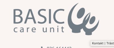 Logotyp för BASIC care unit som föreställer två stiliserade, jublande människor.