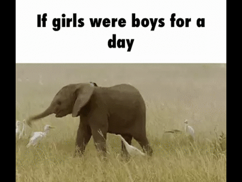 037.GIF