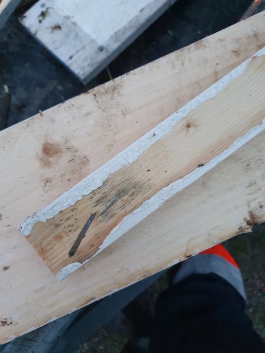 Närbild på en fasadbräda med vitmålad läkt borttagen, visar mögel- eller svamptillväxt där läkten varit.