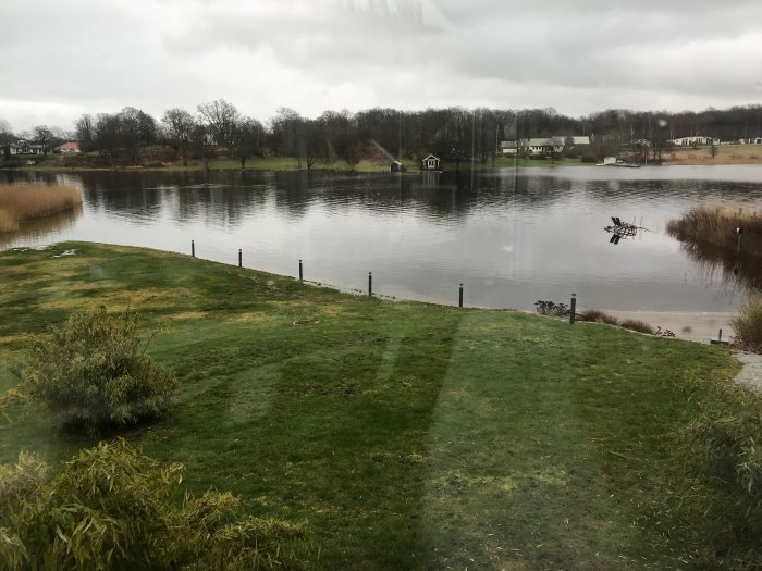 Gråmulet landskap med grön gräsmatta, en spegelblank sjö och träd i bakgrunden.