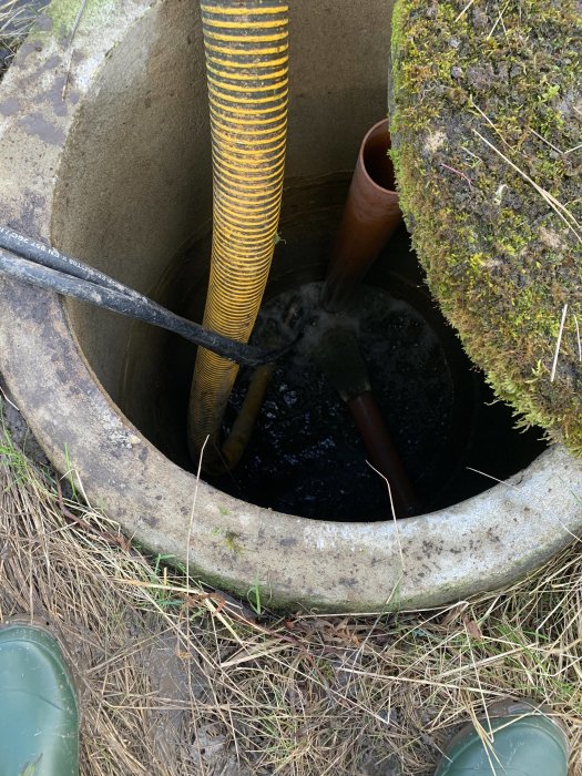 Stenkantad brunn med lecakulor i botten, gult rör och övervuxen betongyta.