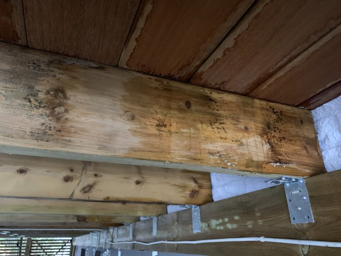 Träbjälkar under tak med synliga fuktfläckar och mögeltillväxt.