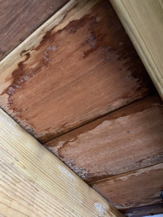 Vattenskada på trägolv med mörkfläckig missfärgning och uppenbar svullnad i träet.