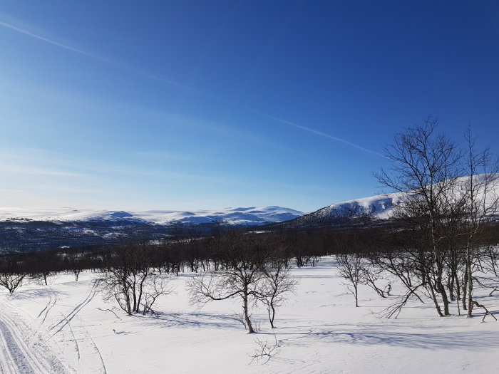 Vinterlandskap med snötäckt terräng och fjäll i bakgrunden under klarblå himmel.