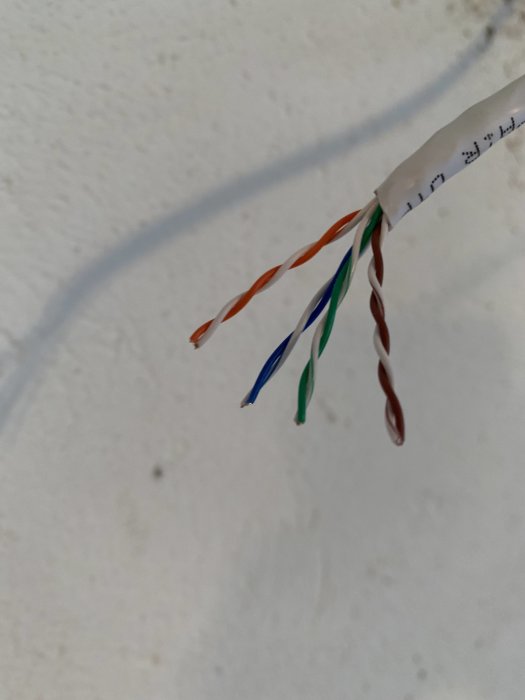 Oisolerade flerfärgade elektriska ledningar sticker ut från en grå kabel mot en vit bakgrund.