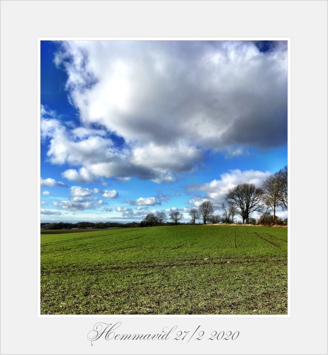 Lantligt landskap med grönt fält, kala träd och dramatiska moln mot en klarblå himmel, datumstämpel nertill.