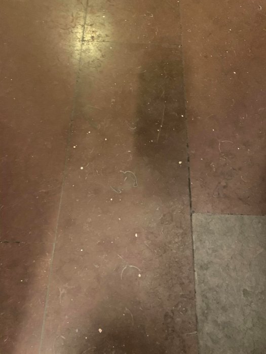 Kalkstensgolv med vita fläckar, som kan vara kalkavsättningar, i behov av rengöring.