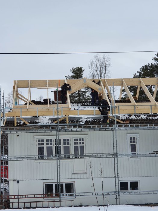 Delvis byggd övervåning med trästomme och råspontad sida på ett hus, med synligt takpapp.