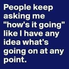 Textmem med texten "People keep asking me 'how's it going' like I have any idea what's going on at any point" på blå bakgrund.