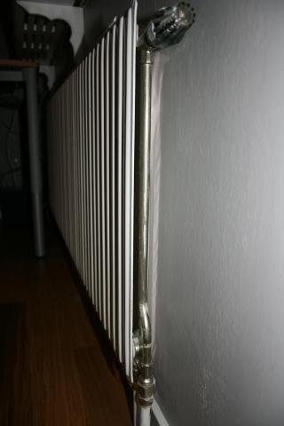 IMG_4984.jpg