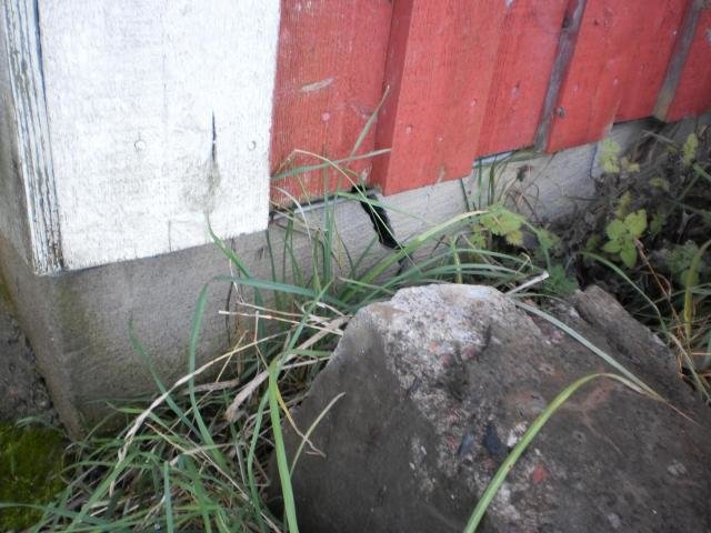 PA290035.jpg
