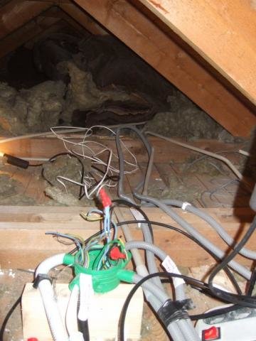 DSCF7944.jpg