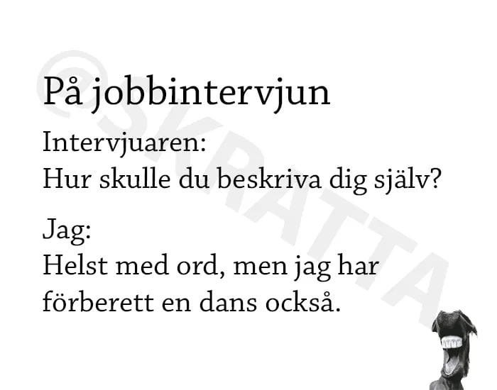 Humoristisk text om en jobbintervju med svar om att beskriva sig själv med ord eller dans.