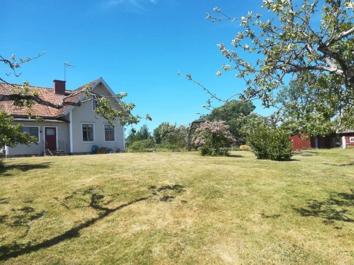 Ett äldre hus med vit fasad och rött tak omgivet av en välskött trädgård och blommande träd under en klarblå himmel.