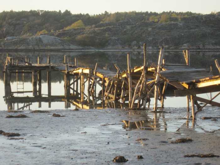 Nerfallen träbrygga i dåligt skick vid vattenkanten med skog i bakgrunden.