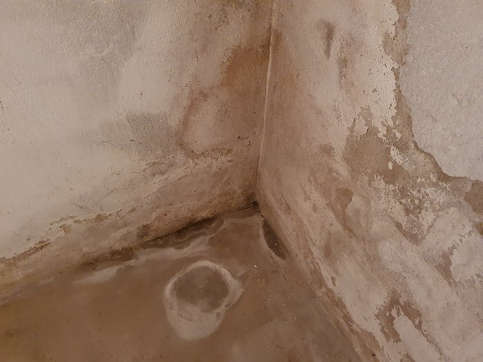 Skadad källarväggsputs med lössittande delar och mörka fläckar i hörnet.