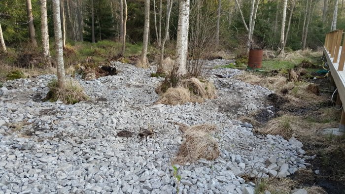 Uppgrävd damm med stenar och gräs synlig bredvid skog och en trätrall, torr i dagsljus.