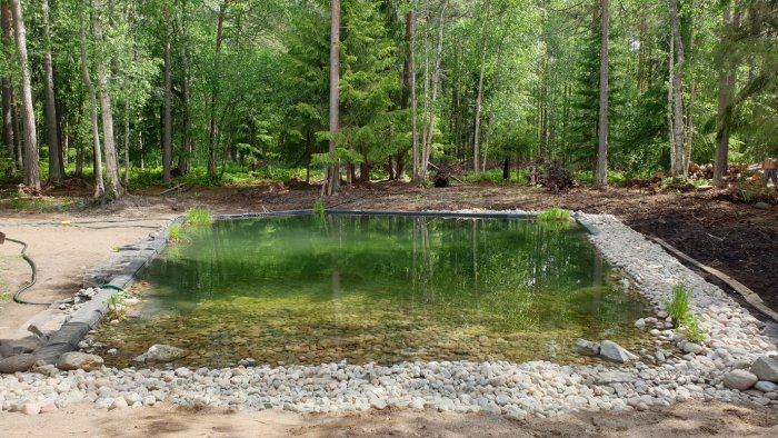 En damm i en skogsmiljö med klart vatten och stenbelagd kant, omgiven av gröna träd och buskar.