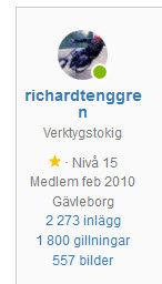 Skärmdump av användarprofil med namnet "richardtenggre" där sista "n" i namnet ligger på en egen rad, anmärkning om layoutproblem.