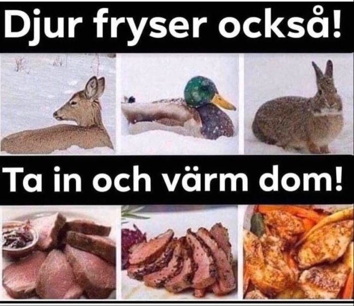 Collage av en hjort, anka och kanin i snön och tillagad mat som representerar djuren. Text: "Djur fryser också! Ta in och värma dom!