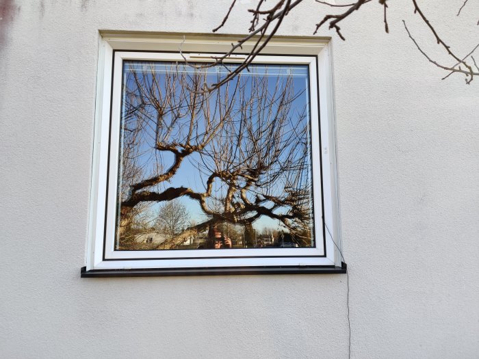 Vitramat fönster monterat på en ljusgrå vägg med reflektion av nakna trädgrenar och himmel.
