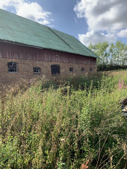 Gammal lada med rödfärgade väggar och grönt tak omgiven av vildvuxen vegetation under en delvis molnig himmel.