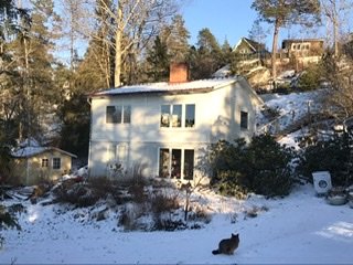 Vit villa i kuperad trädgård med snötäcke, träd i bakgrunden och en katt framför huset.