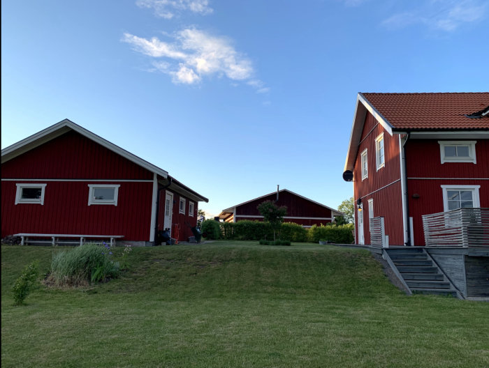 Utsikt från husövervåning över öppen gräsmatta med röda villor och klart himmel.