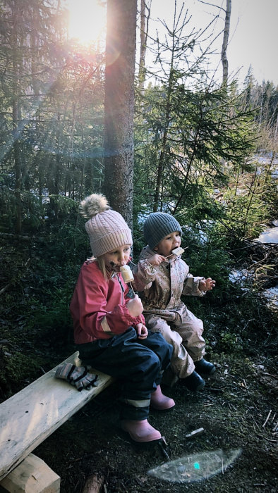 Två barn sitter på en träbänk i skogen och äter glass, med solstrålar som tränger genom träden.