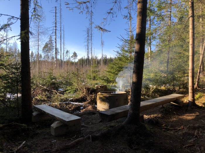 Nybyggd uteplats i skogsbryn med bänkar och grillplats, rök stiger upp i solljus.