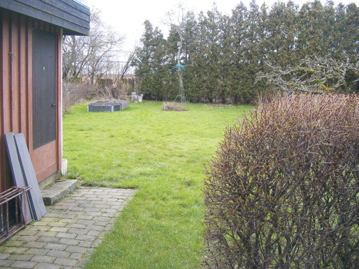 Trädgård 5 ++.JPG