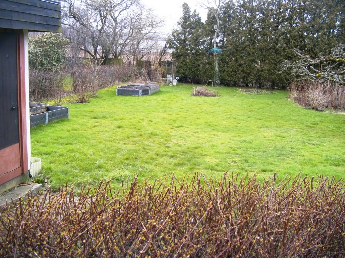 Trädgård 6.JPG