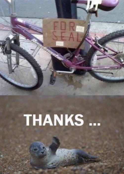 En cykel med en skylt som säger "FOR SEAL" och en bild på en säl som ser ut att vinka med texten "THANKS ...