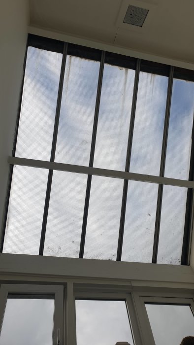Utsikt genom ett tak av glasskivor uppburna av metallramar, ovanför vita fönsterramar.