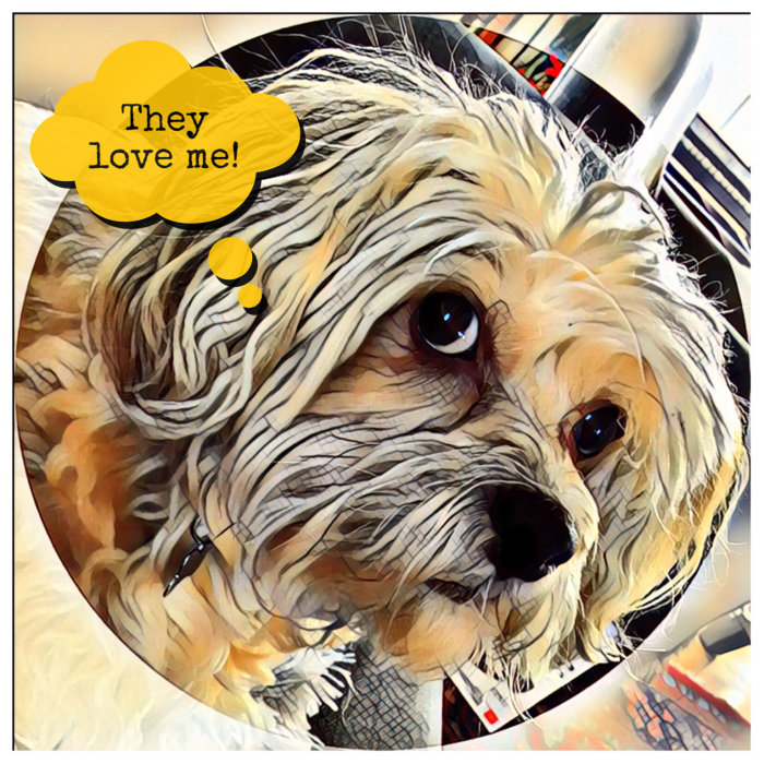 En redigerad bild av en söt hund med tankebubbla som säger "They love me!