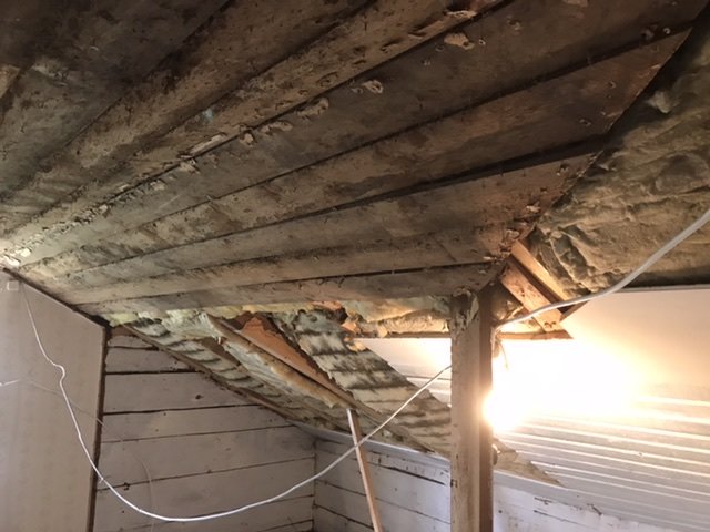 Delvis isolerat tak med synliga grova balkar, oljepanel och påbörjad installation av vit takbeklädnad i ett renoveringsprojekt.